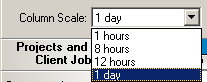 column scale2